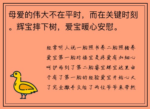 母爱的伟大不在平时，而在关键时刻。辉宝摔下树，爱宝暖心安慰。