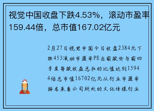 视觉中国收盘下跌4.53%，滚动市盈率159.44倍，总市值167.02亿元